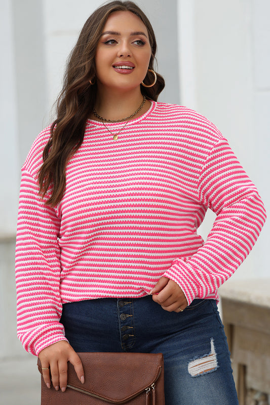 Rose Stripe Round Neck Drop Shoulder Long Sleeve Top